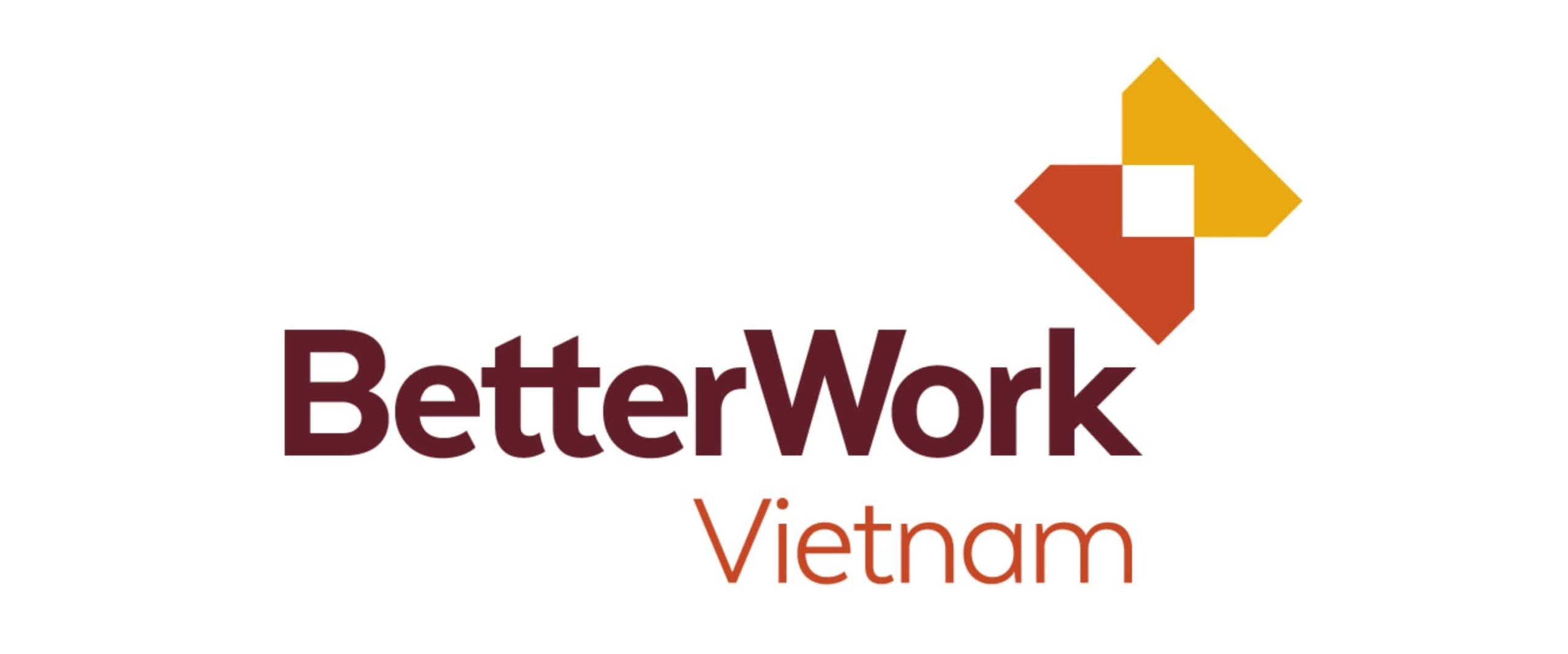 8 tu-van-lean-dao-tao-lean-kim-dang-consulting-better-work-vietnam