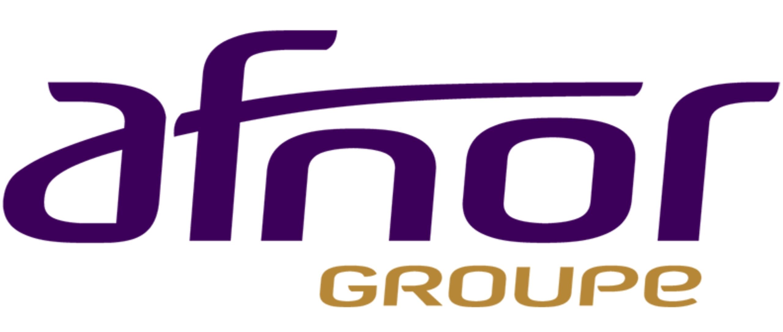 afnor-group-tu-van-lean-dao-tao-lean-kim-dang-consulting afnor-group-tu-van-lean-dao-tao-lean-kim-dang-consulting